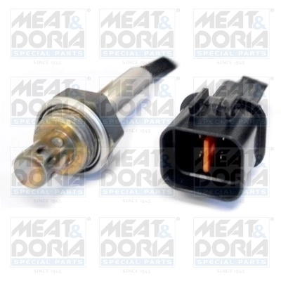 Oxygen Sensor